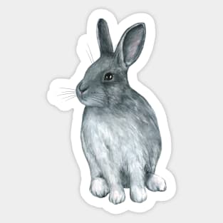 Hand drawn watercolor cute rabbit, bunny Sticker